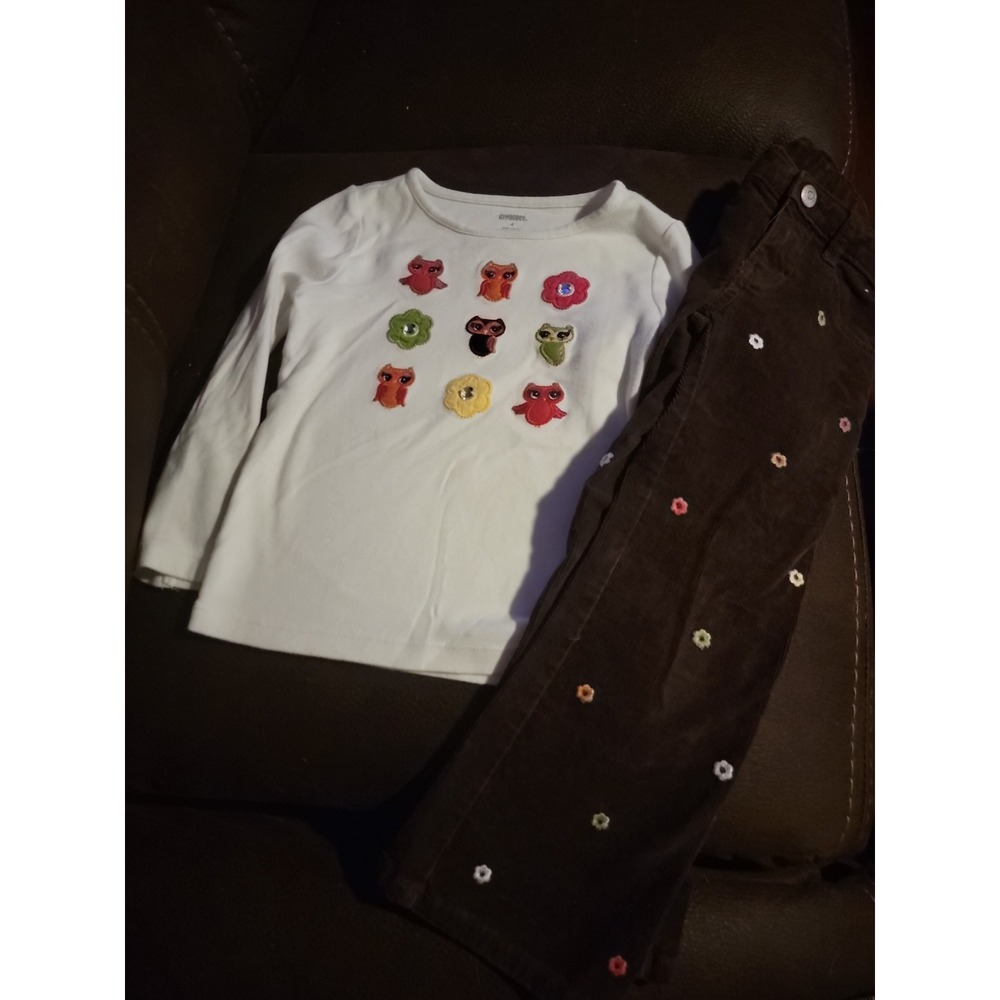 Gymboree fall for autumn owl top and cords size 4